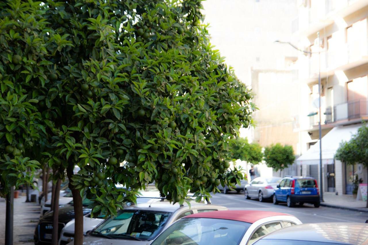 B&B Solea Katanya Dış mekan fotoğraf